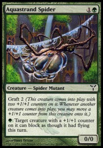 Aquastrand Spider⁣ - Dissension⁣ (Common)⁣ [80]