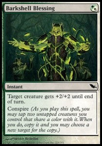 Barkshell Blessing⁣ - Shadowmoor⁣ (Common)⁣ [224]