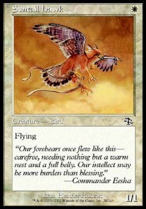 Suntail Hawk⁣ - Judgment⁣ (Common)⁣ [28]