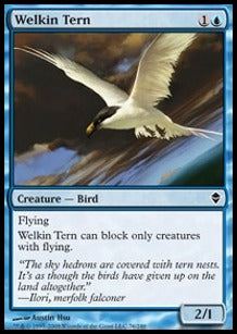Welkin Tern⁣ - Zendikar⁣ (Common)⁣ [76]