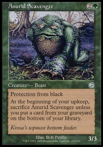 Anurid Scavenger⁣ - Torment⁣ (Uncommon)⁣ [119]