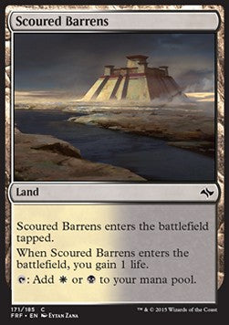Scoured Barrens⁣ - Fate Reforged⁣ (Common)⁣ [171]
