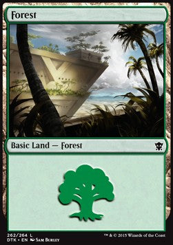 Forest (V.1)⁣ - Dragons of Tarkir⁣ (Land)⁣ [262]