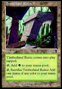 Timberland Ruins⁣ - Odyssey⁣ (Common)⁣ [330]