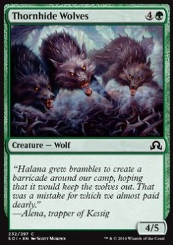 Thornhide Wolves⁣ - Shadows over Innistrad⁣ (Common)⁣ [232]
