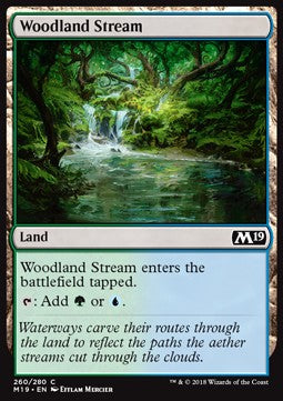 Woodland Stream⁣ - Core 2019⁣ (Common)⁣ [260]