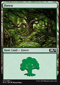 Forest (V.1)⁣ - Core 2019⁣ (Land)⁣ [277]