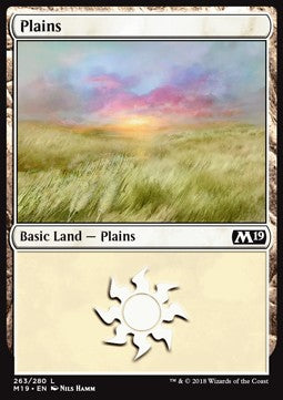 Plains (V.3)⁣ - Core 2019⁣ (Land)⁣ [263]