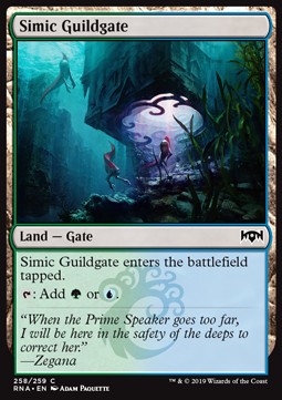 Simic Guildgate (V.2)⁣ - Ravnica Allegiance⁣ (Common)⁣ [258]