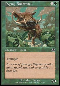 Pygmy Razorback⁣ - Prophecy⁣ (Common)⁣ [120]