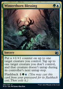 Winterthorn Blessing⁣ - Innistrad: Midnight Hunt⁣ (Uncommon)⁣ [251]