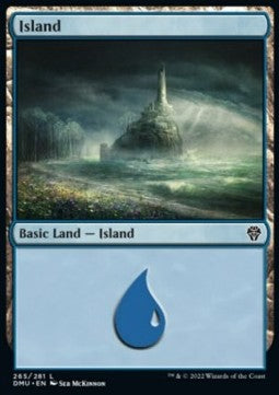Island (V.1)⁣ - Dominaria United⁣ (Land)⁣ [265]