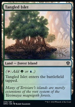 Tangled Islet⁣ - Dominaria United⁣ (Common)⁣ [258]