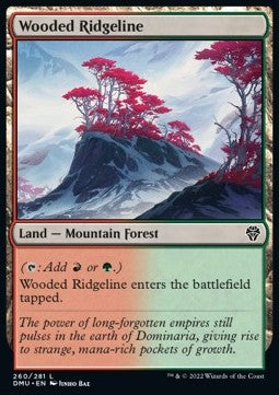 Wooded Ridgeline⁣ - Dominaria United⁣ (Common)⁣ [260]