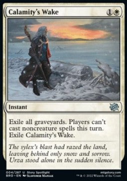 Calamity's Wake⁣ - The Brothers' War⁣ (Uncommon)⁣ [4]