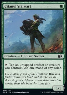 Citanul Stalwart⁣ - The Brothers' War⁣ (Common)⁣ [175]