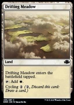 Drifting Meadow⁣ - Dominaria Remastered⁣ (Common)⁣ [245]