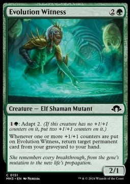 Evolution Witness - Modern Horizons 3 (Common) [MH3-151]