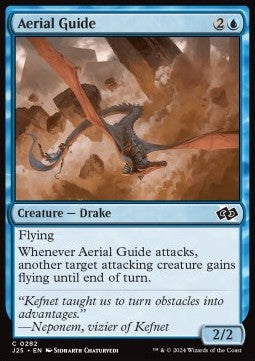 Aerial Guide⁣ - Foundations Jumpstart⁣ (Common)⁣ [282]