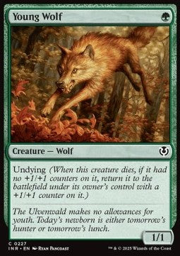 Young Wolf⁣ - Innistrad Remastered⁣ (Common)⁣ [227]