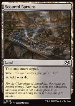 Scoured Barrens⁣ - Aetherdrift⁣ (Common)⁣ [263]