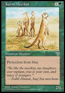 Karoo Meerkat⁣ - Mirage⁣ (Uncommon)