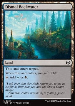 Dismal Backwater⁣ - Tarkir: Dragonstorm⁣ (Common)⁣ [254]