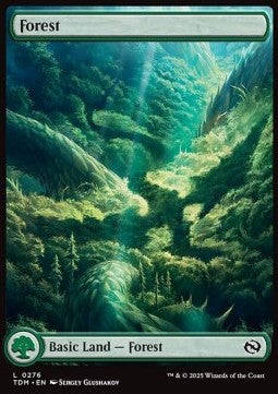 Forest (V.1)⁣ - Tarkir: Dragonstorm⁣ (Land)⁣ [276]
