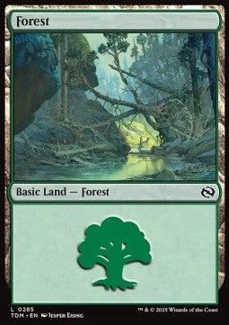Forest (V.2)⁣ - Tarkir: Dragonstorm⁣ (Land)⁣ [285]