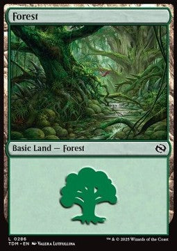 Forest (V.3)⁣ - Tarkir: Dragonstorm⁣ (Land)⁣ [286]
