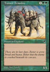 Trained Armodon⁣ - Tempest⁣ (Common)