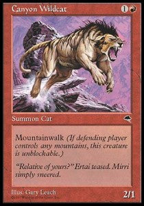 Canyon Wildcat⁣ - Tempest⁣ (Common)